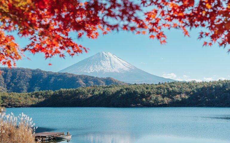 Mount Fuji view at Lake Saiko in Autumn season
