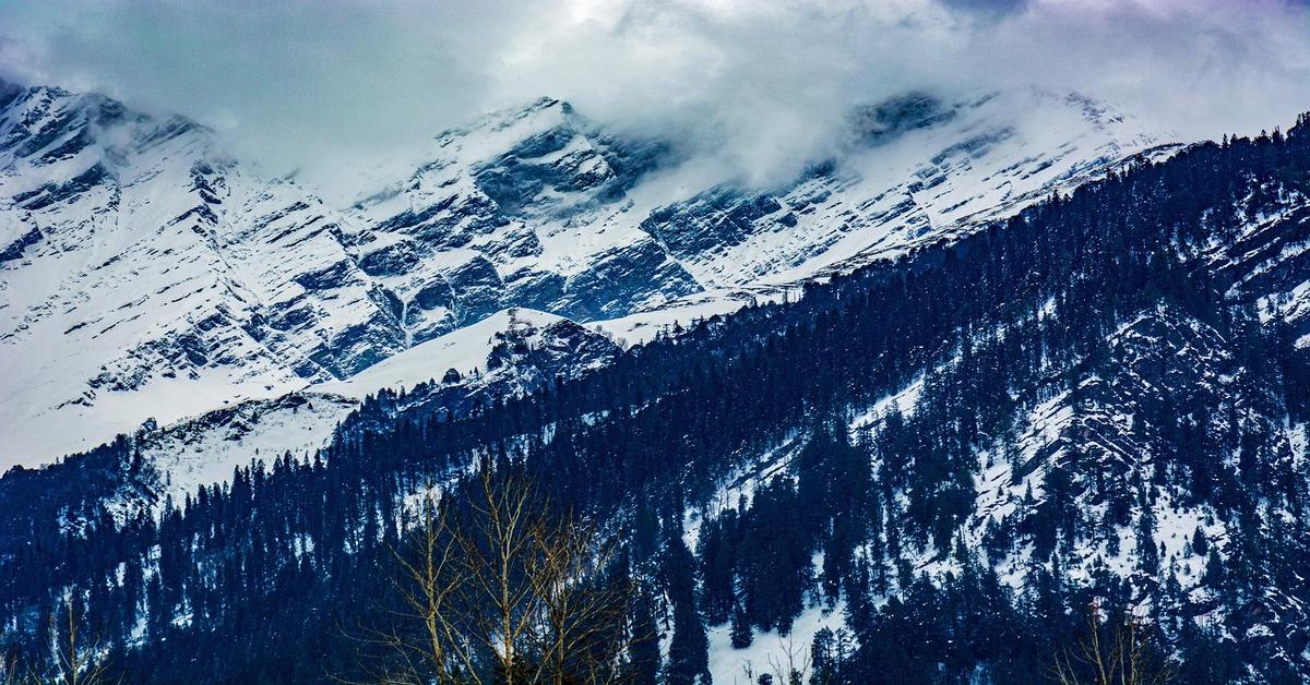 Image by confused_me from Pixabay