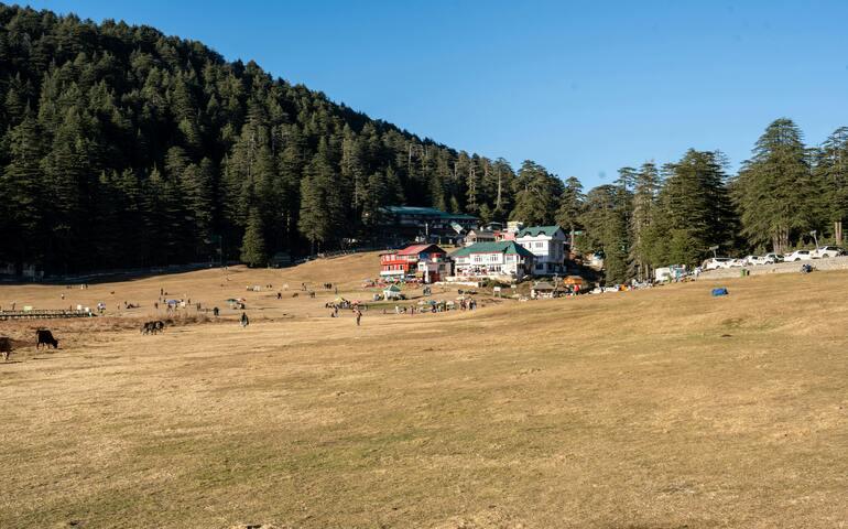 Scenic View of Khajjiar Meadow in Himachal Pradesh