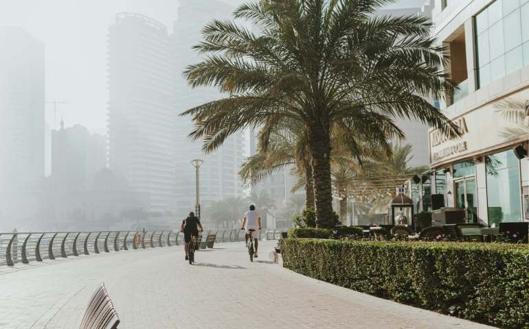 Morning waterfront promenade with palm trees and cyclists on modern marina walkway