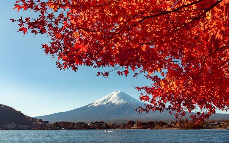 Mount Fuji, the iconic symbol of Japan during autumn season