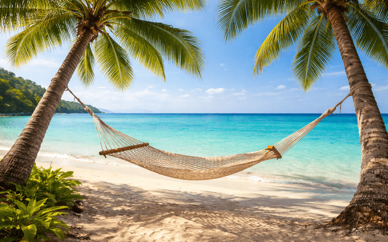Plans today: absolutely nothing.
