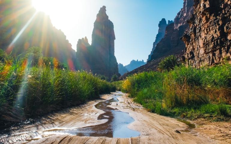 Lush greenery in Wadi Disah, Tabuk, Saudi Arabia