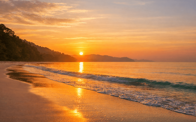 Morning in Havelock feels illegal. Too pretty.
