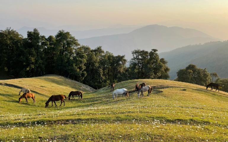 Nag Tibba, Dehradun