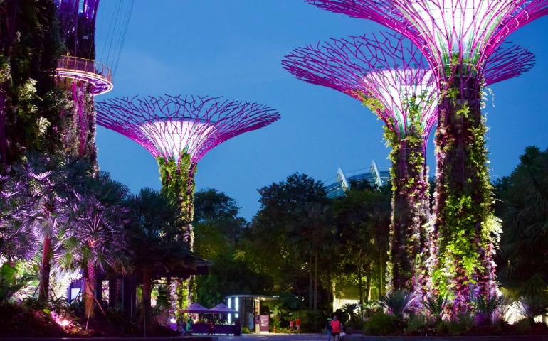 Gardens by the Bay, Marina, Singapore