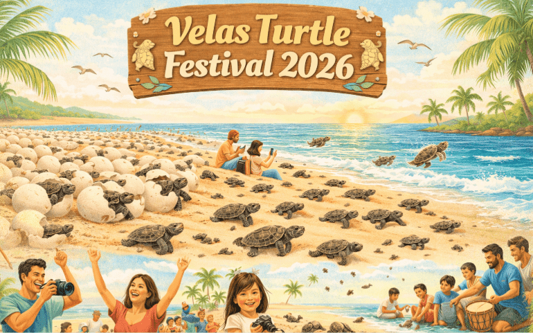 AI-generated visual representation of Velas Turtle Festival 2026