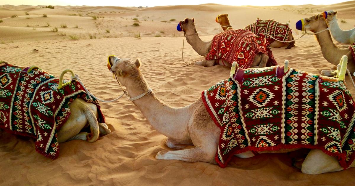 Photo by Fernando Jorge on Unsplash