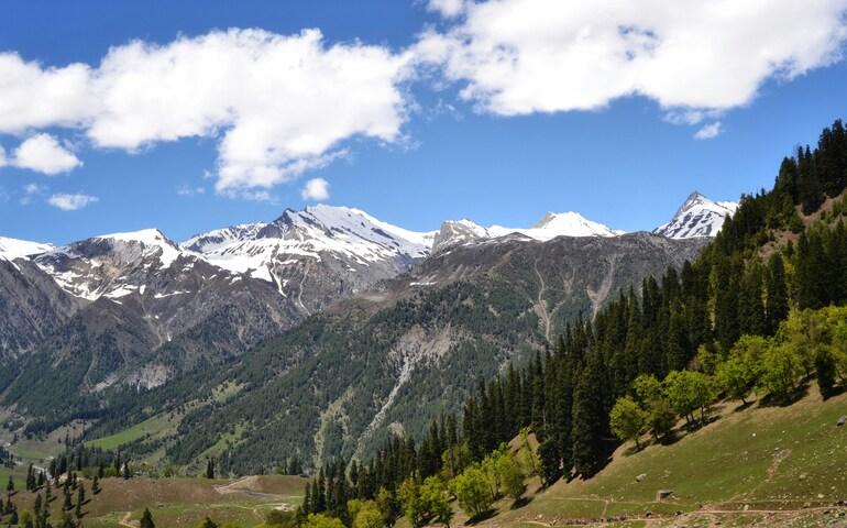 Green hills with snow covered mountains in the backdrop
