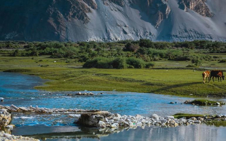 Nubra Valley, Hunder