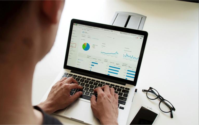 Person Analyzing Graphs