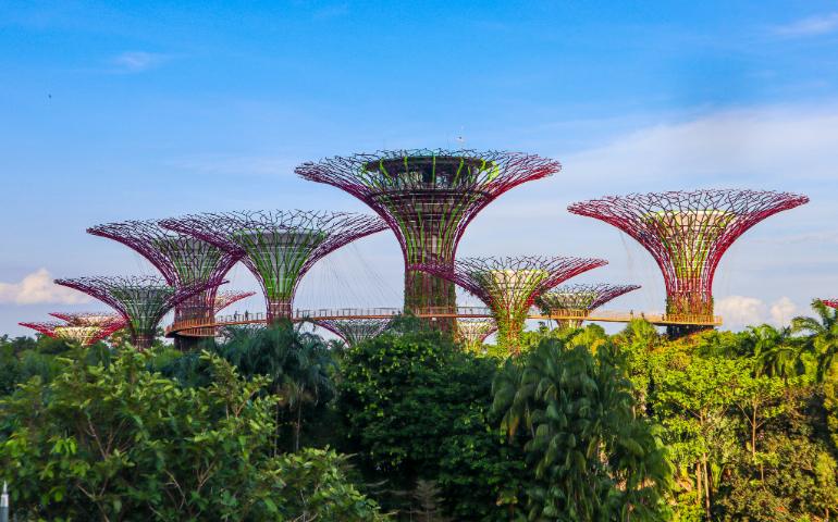 Gardens by the Bay, Singapore