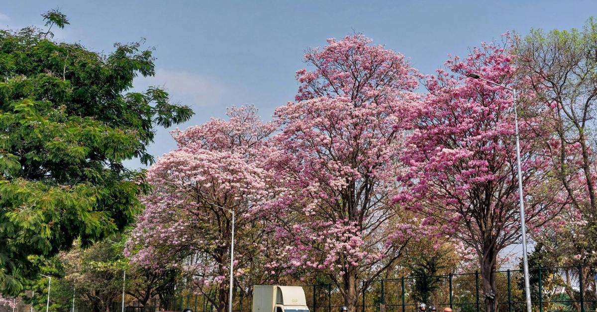 Non Editorial/Unsplash