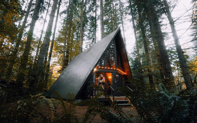 Stay in the forest
Image Credit: Karsten Winegeart/Unsplash