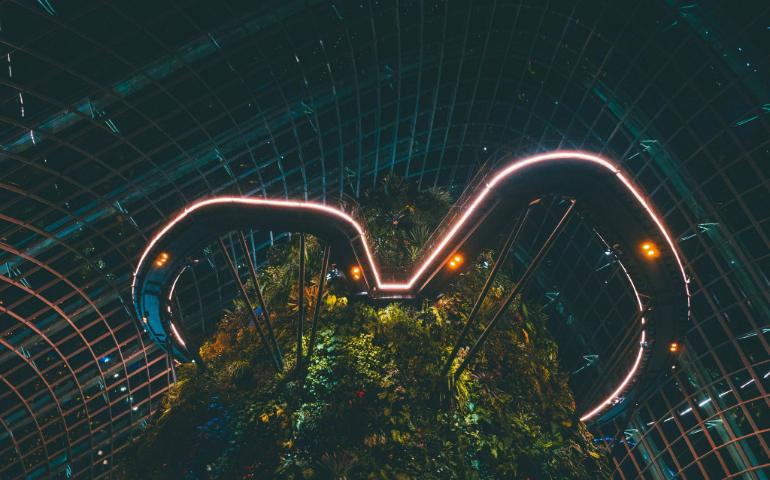 Inside Cloud Forest in Singapore