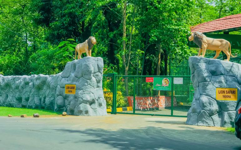 Silvassa Vasona Lion Safari
