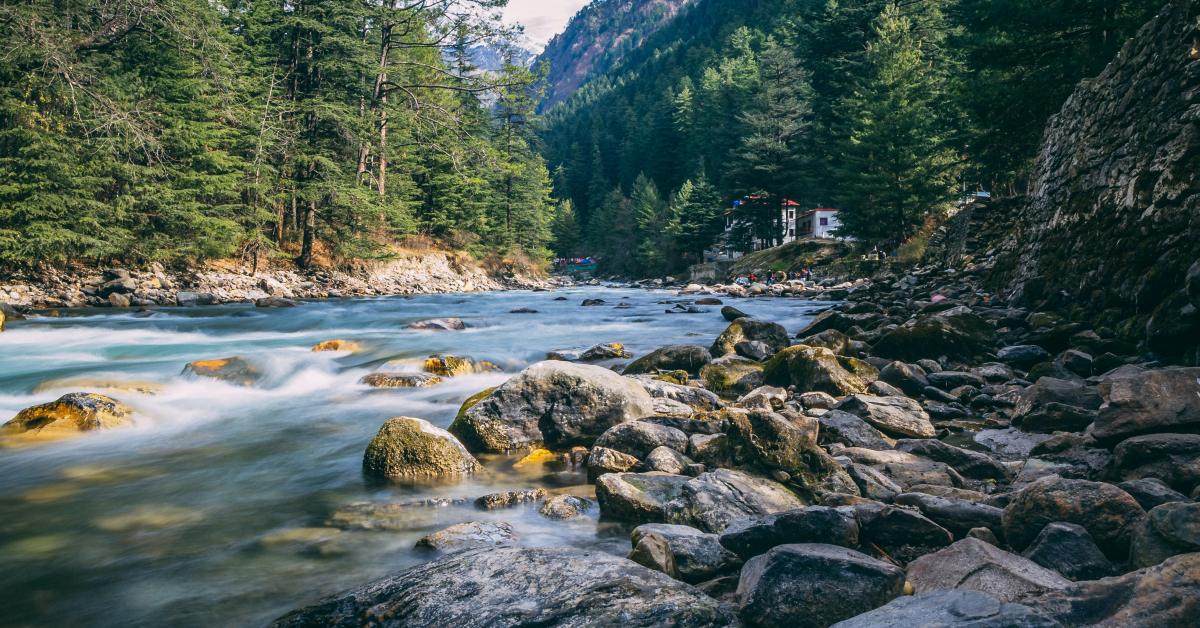 Photo by Ashwini Chaudhary(Monty) on Unsplash