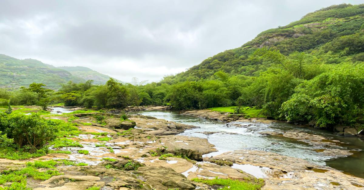 Photo by Faraz Ghori on Unsplash