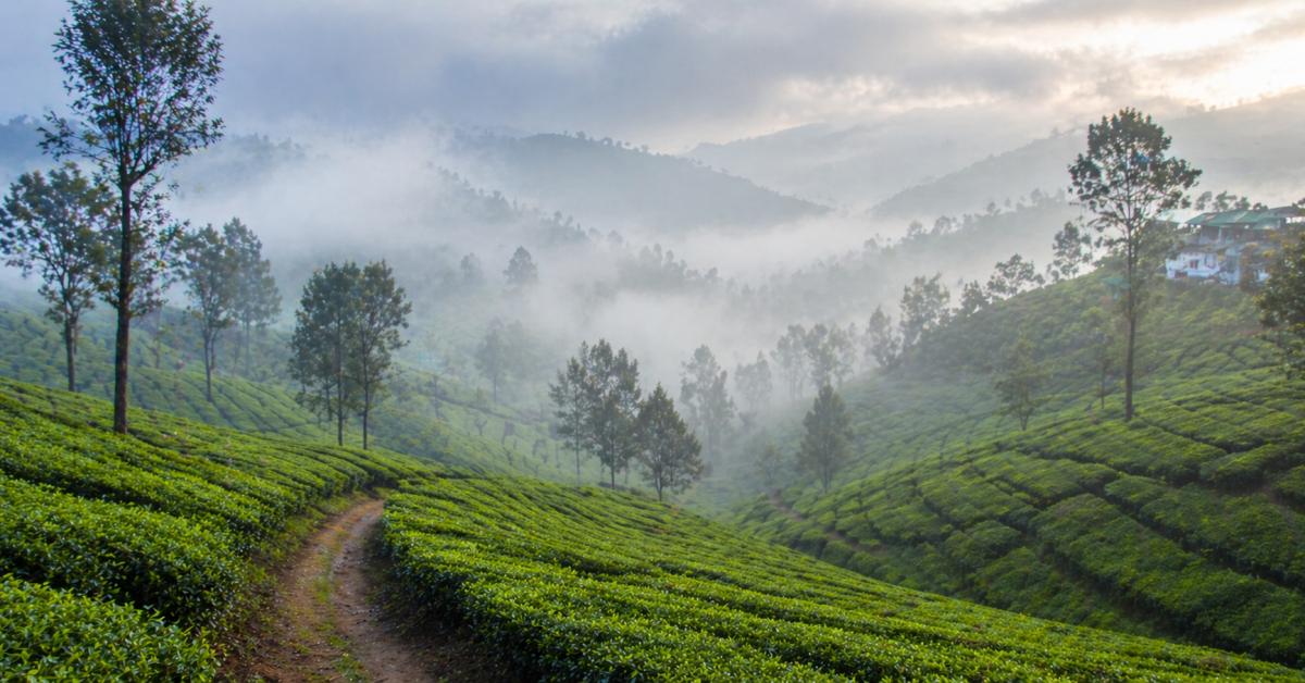 Top-Rated 5 Star Hotels in Ooty for a Premium Holiday Experience