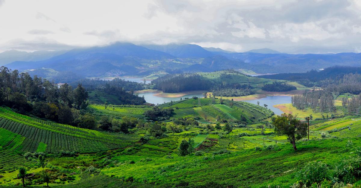 Photo by mugi jo on Unsplash
