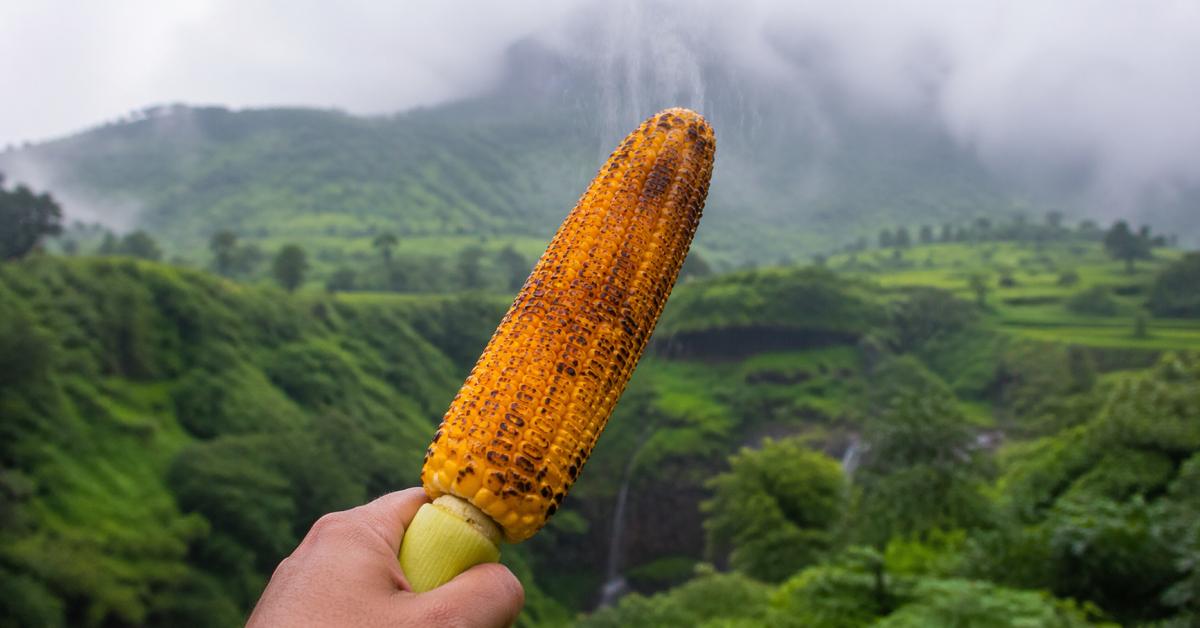 Budget Hotels in Lonavala Near Popular Attractions