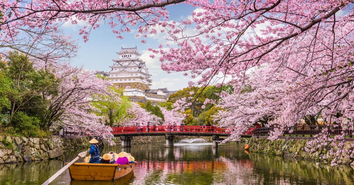 How to Plan an Easy Japan Trip From India: Everything You Need to Know