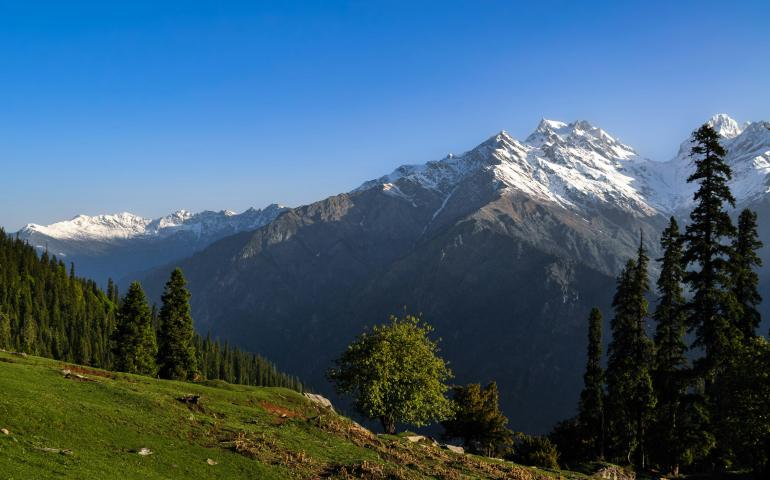 a view of a mountain range with trees in the foreground
