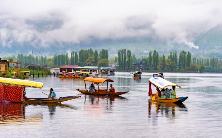 Boats on Dal Lake
