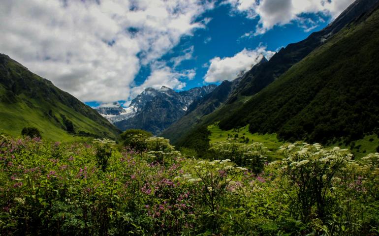 Valley of Flowers, Uttarakhand
