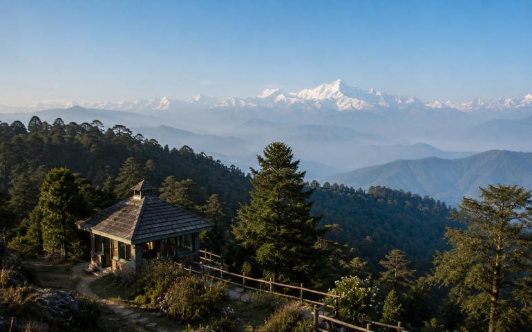 Binsar