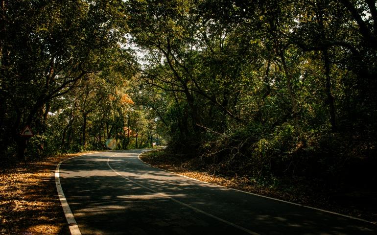 Road in Goa
