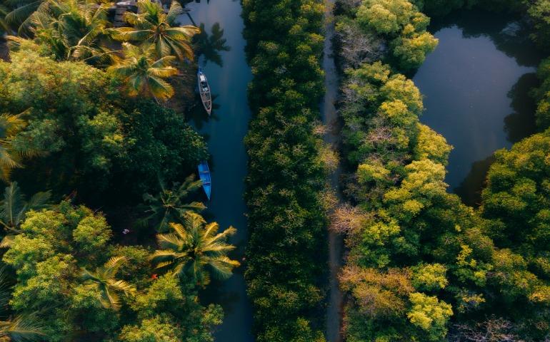 Kerala
