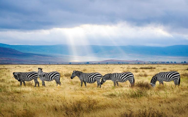 Ngorongoro Crater, Tanzania
