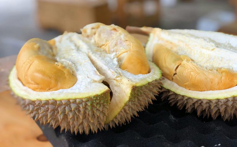 Durian
