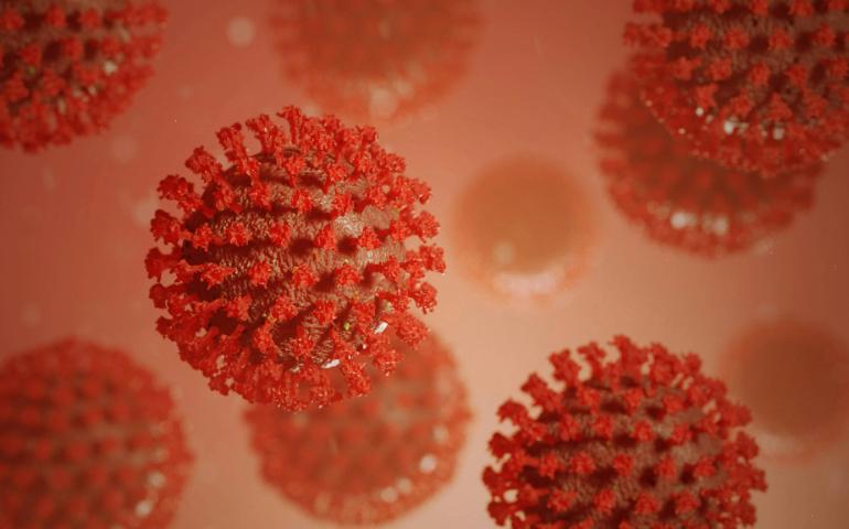 Visualisation of the virus