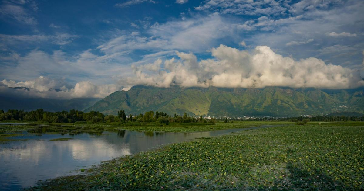Lush greenery and mountains in Srinagar
Image Credit: Azam Khan/Pexels
