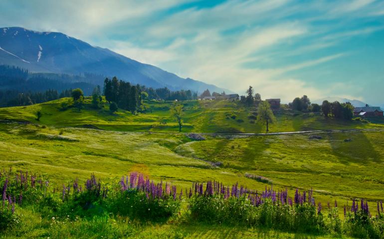 Mountains and Wildflowers Under a Blue Sky in Kashmir