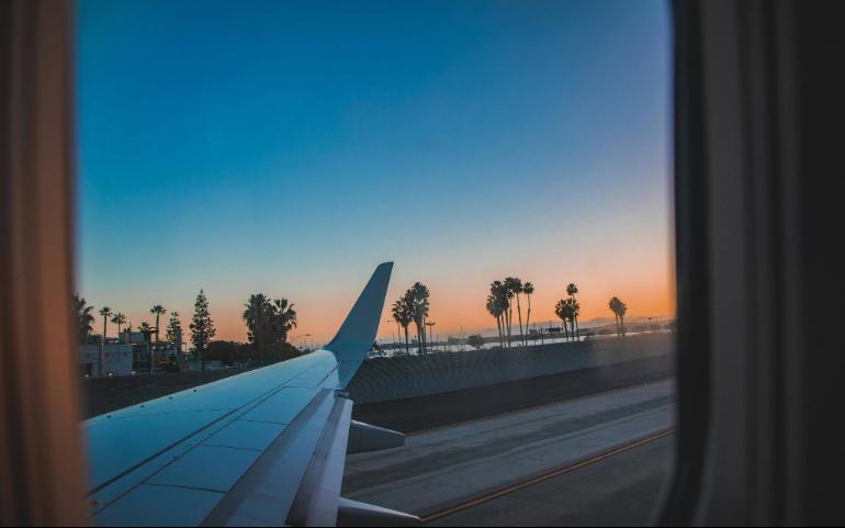 Scenic View From an Airplane Window of Wing and Palm Trees During sunset
