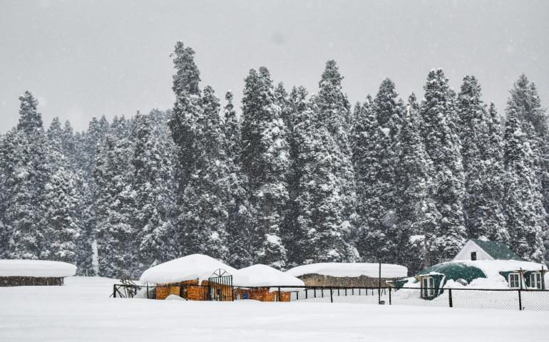 Snow-covered cabins and pine trees in a winter forest setting in Gulmarg.