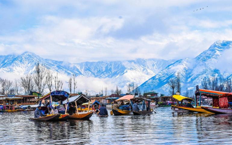 View of Shikara Boats on Dal Lake, Srinagar