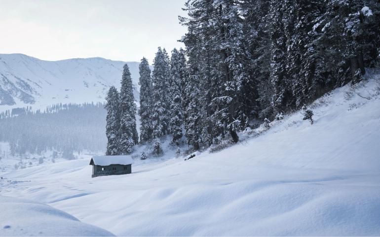 Snow-Covered Scene in Gulmarg's Winter Wonderland, with Mountains and Forest