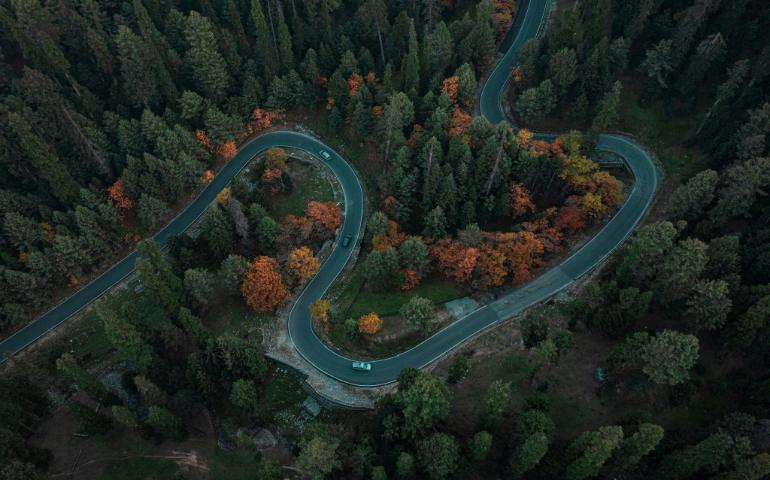 View of a Winding Road Through the Lush Forest of Gulmarg