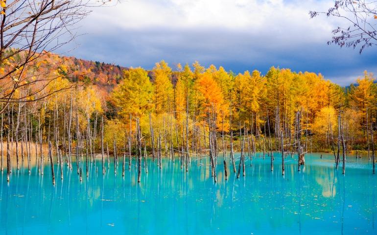 Shirogane Blue Pond in Autumn, Japan