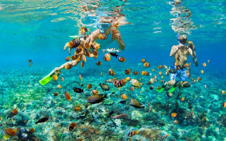 Family snorkeling in Maldives
