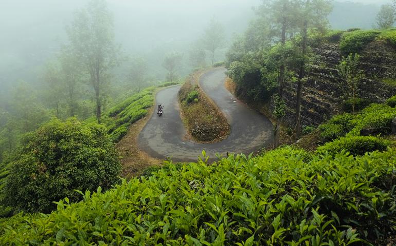 Chembra Peak Wayanad