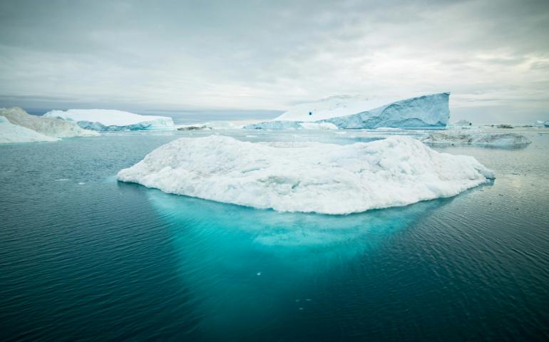 Greenland's Icebergs