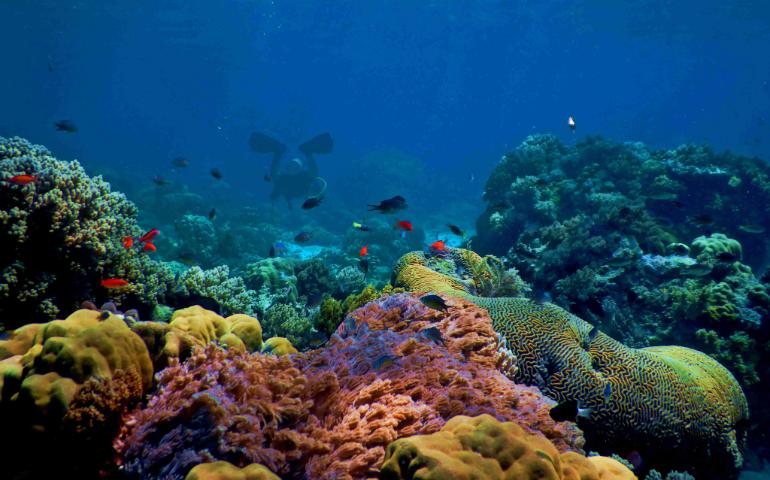 World under water