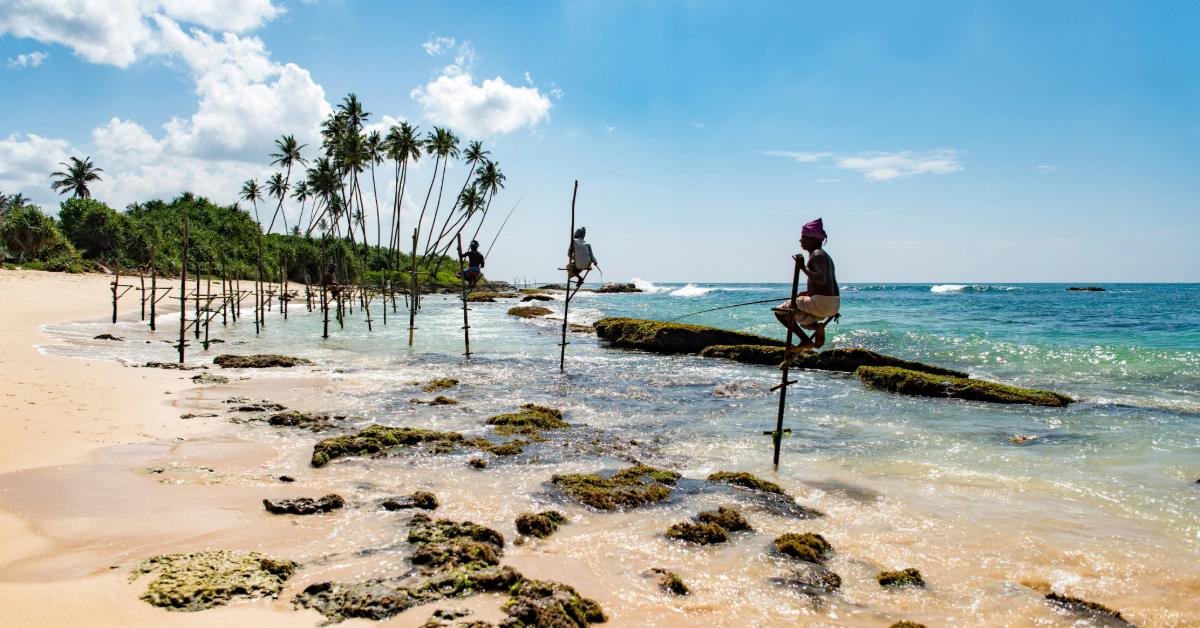 Sri Lanka ETA Is Now Free for Indians: Key Details for Travellers
Photo by Daniel Klein on Unsplash
