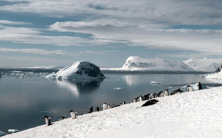 Antarctic Peninsula