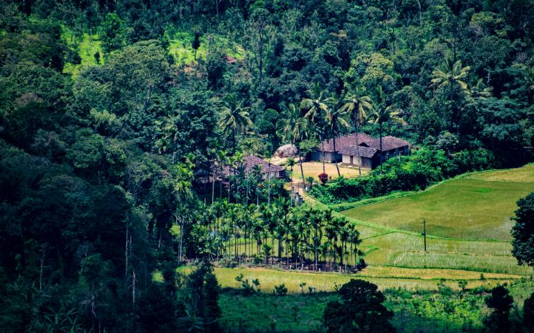 Coorg during monsoon
